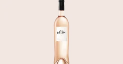 by Ott Rosé 2025