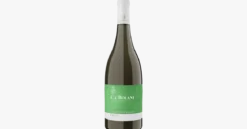 Ca'Bolani Sauvignon Blanc Friuli