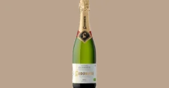 Codorníu Clásico Cava Sec Organic 37,5 cl