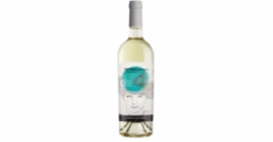 Collezione Volti Pinot Grigio Terre d'Abruzzo