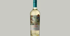 Cuma Organic Torrontés