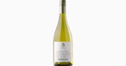 Errázuriz Sauvignon Blanc Single Vineyard