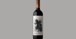 Gabbiano Dark Knight Toscana