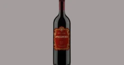 Inycon Appassimento Rosso Organic 1,5 L