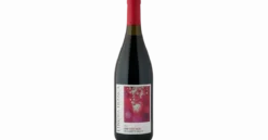 Lingua Franca Avni Pinot Noir