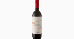 Pasqua Merlot