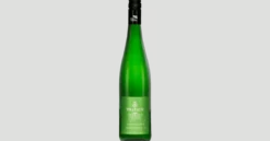 Pratsch Grüner Veltliner