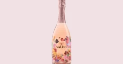 Valdo Aquarius Rosé Brut