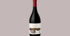 Zuccardi Finca Piedra Infinita 2017